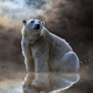 phyllisbjorli avatar