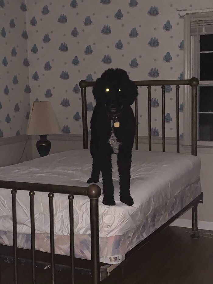 Bedrooms-With-Threatening-Auras