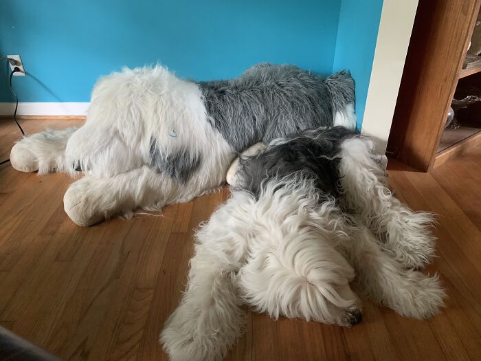 My Oes Tink With Her Stuffed Pal Deeohgee