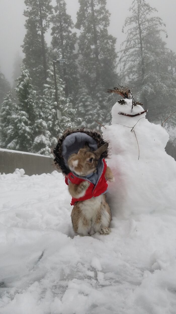 Dot’s First Time Seeing Snow. Excited, Happy Or Freezing Cold?