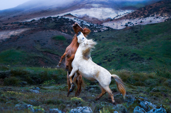 I Moved To Iceland Because Of My Love Of Photography. Here Is My Take On This Little Island.