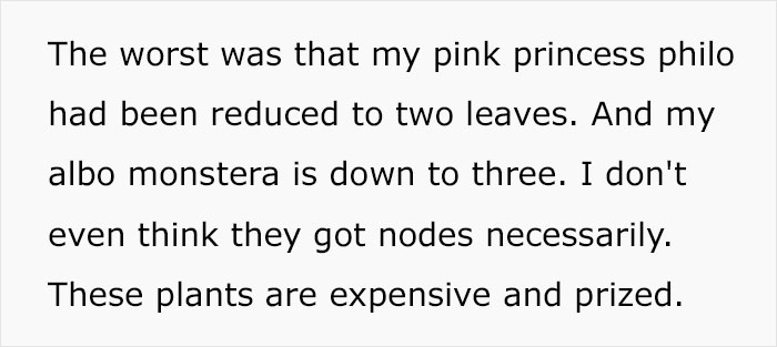 Woman Refuses To See Her Niece And Sister-In-Law After They Trim Her Houseplants And Sell The Cuttings On Marketplace