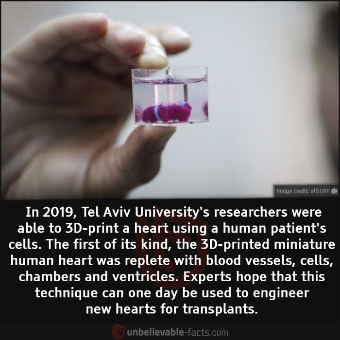 Interesting-Unbelievable-Facts