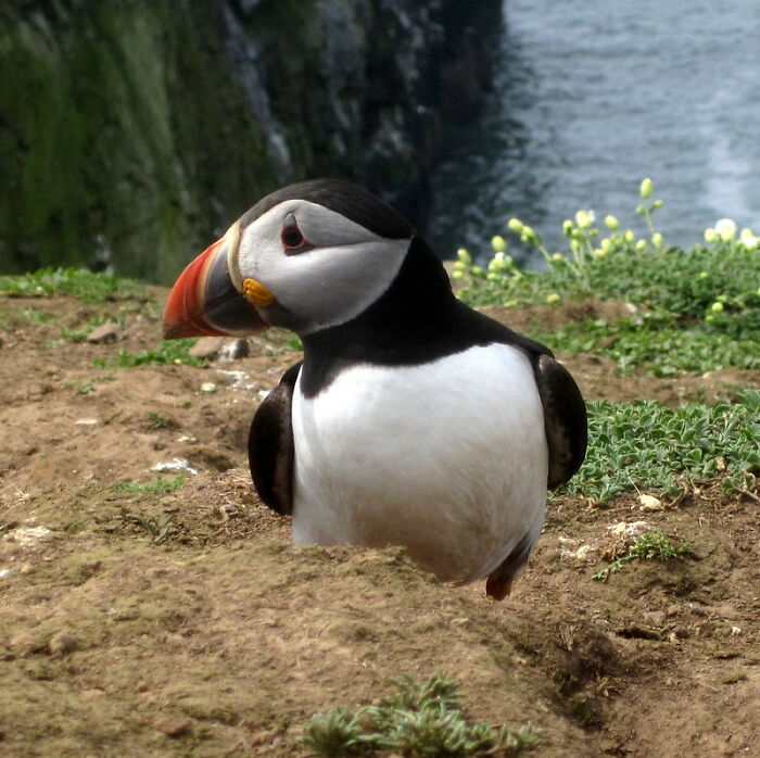 “What Did You Learn At An Embarrassingly Late Age?” (40 New Answers)