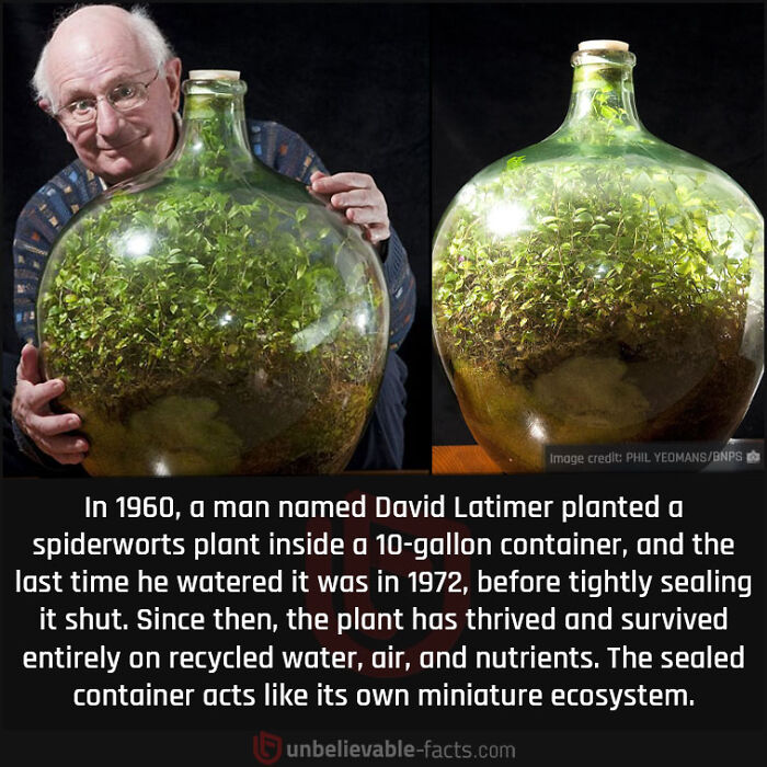 Interesting-Unbelievable-Facts