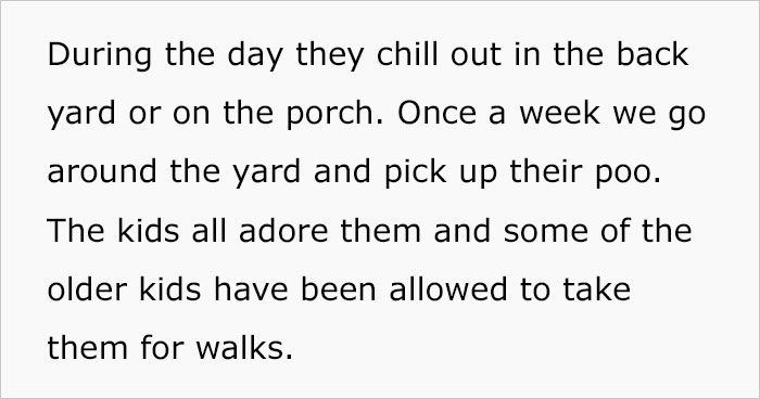 Couple Lets Neighbors' Kids Play In Their Backyard But Changes Their Mind After Neighborhood Karen Demands They Get Rid Of Their 2 Dogs Couple Lets Neighbors' Kids Play In Their Backyard But Changes Their Mind After Neighborhood Karen Demands They Get Rid Of Their 2 Dogs