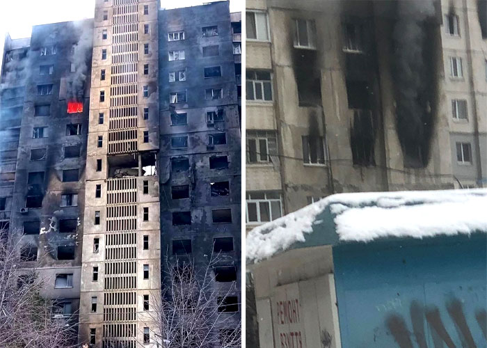 Stepan, el famoso gato ucraniano, huyó junto a su familia y encontró refugio en Francia