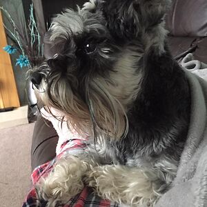 nicholadean2012 avatar