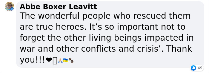 Man Drives 10 Kangaroos To Safety With His Van From A Zoo In Kharkiv That Suffered An Attack Man Drives 10 Kangaroos To Safety With His Van From A Zoo In Kharkiv That Suffered An Attack