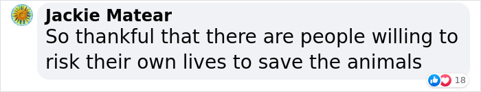 Man Drives 10 Kangaroos To Safety With His Van From A Zoo In Kharkiv That Suffered An Attack Man Drives 10 Kangaroos To Safety With His Van From A Zoo In Kharkiv That Suffered An Attack