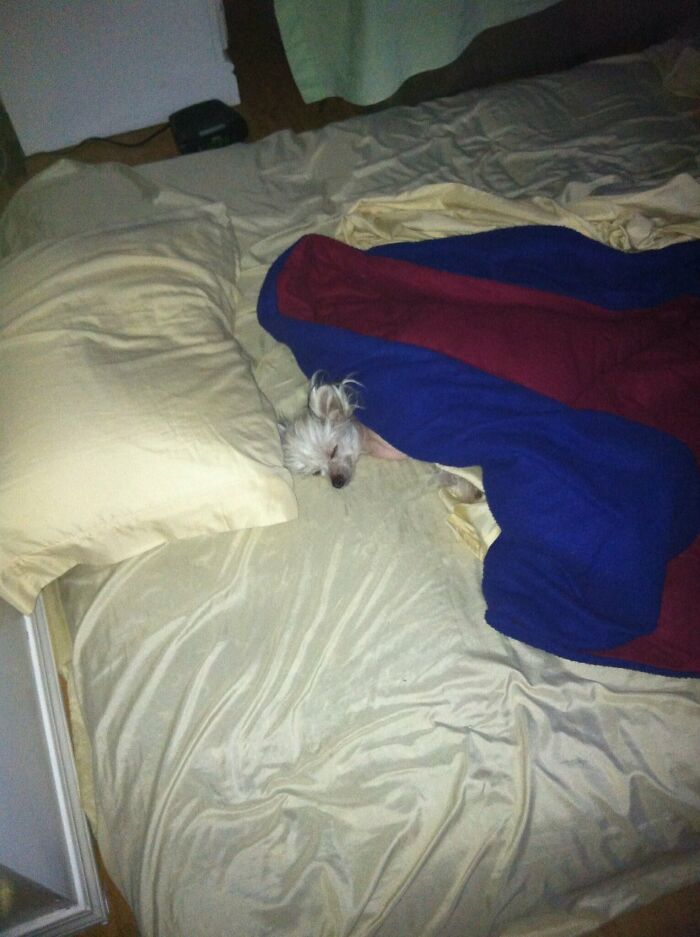 In Honor Of World Sleep Day, Here Are 30 Tips For Falling Asleep Easily, Shared By Users Of This Online Group