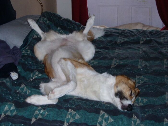 In Honor Of World Sleep Day, Here Are 30 Tips For Falling Asleep Easily, Shared By Users Of This Online Group