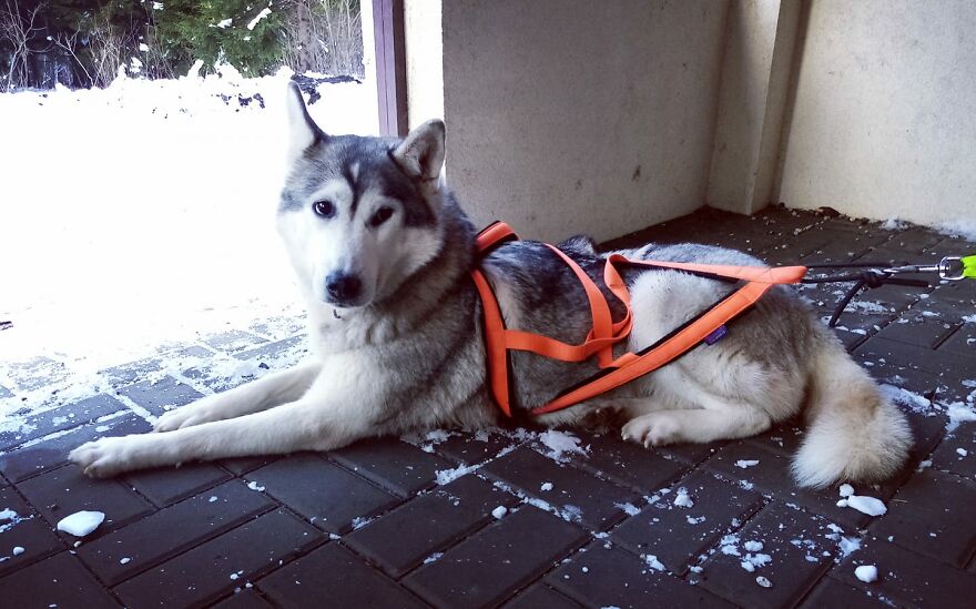 Honey Is Happy And Winks At You :d