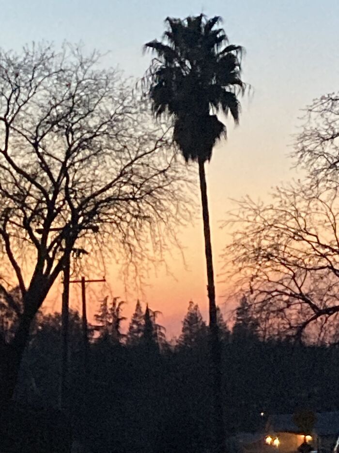 At The Top Of My Dead End Street. I Have A Lot Of Duplicates But At Different Times But This One Is My Favorite