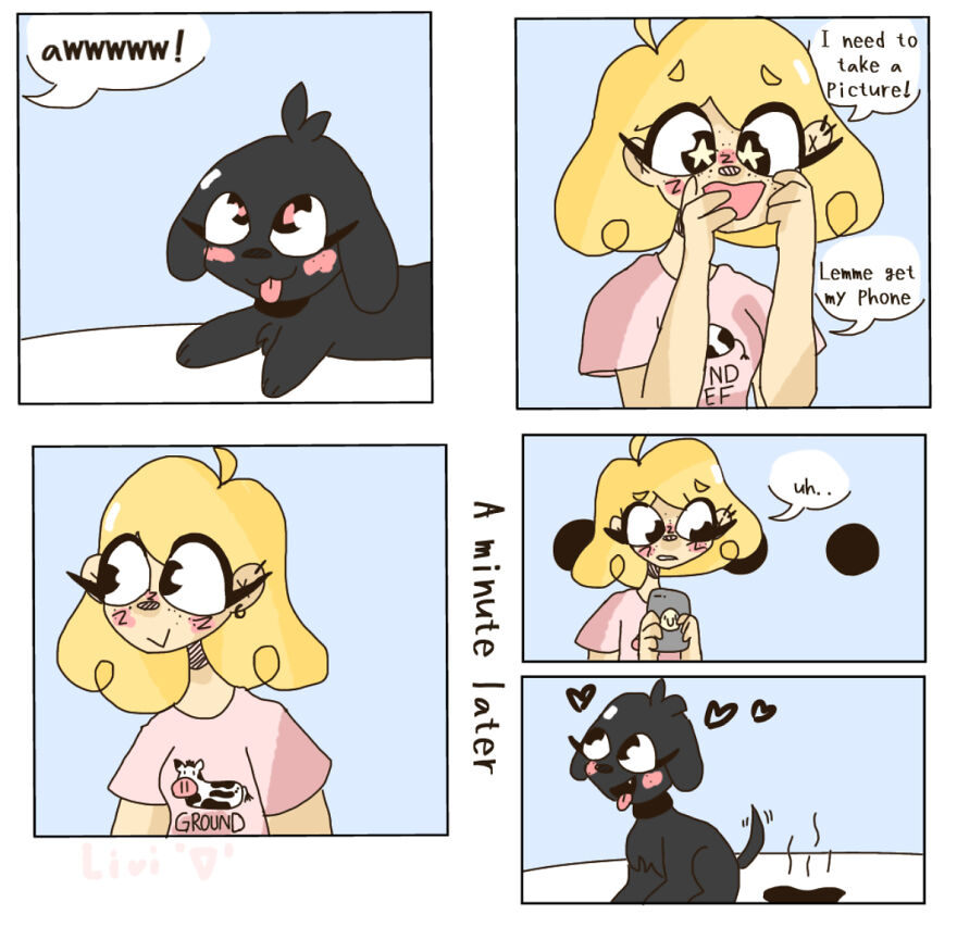 Trying To Take Pictures Of Your Pets