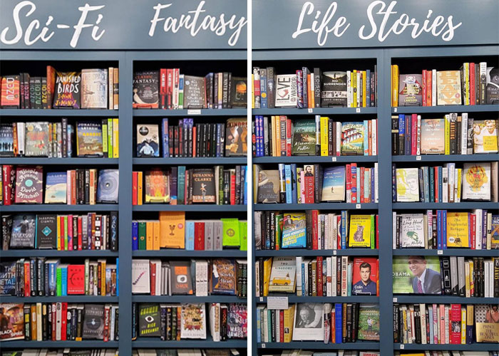 Bookstore Becomes More Magical When Golden Retriever Is Appointed As Manager