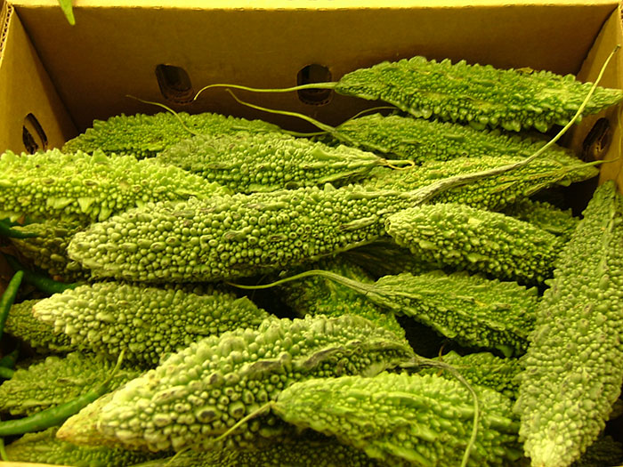 Close-up of fresh bitter melon fruits known as one of the most inedible foods identified by adventurous eaters.