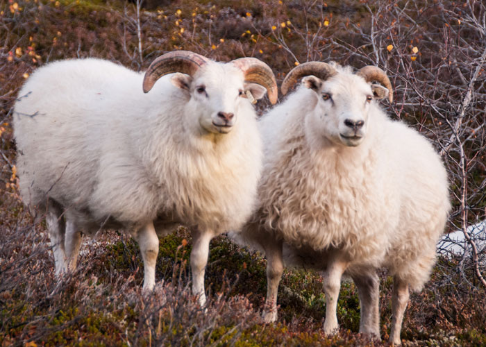 50 New ‘Today I Learned’ Facts That Prove It’s Never Too Late To Learn Something New