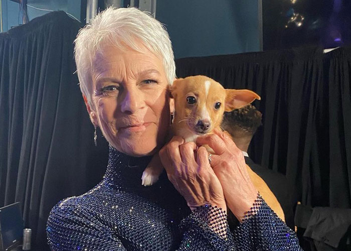 Puppy Named Mac N Cheese Wins Big At The Oscars As John Travolta Adopts Him After Betty White Tribute Puppy Named Mac N Cheese Wins Big At The Oscars As John Travolta Adopts Him After Betty White Tribute