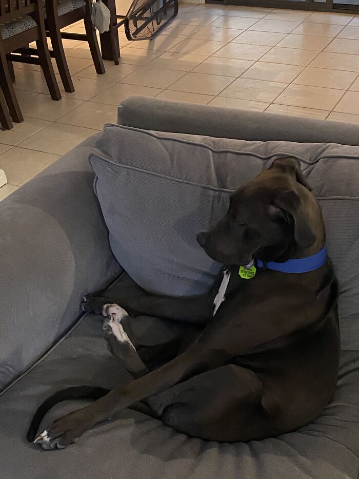 Sitting Up Falling Asleep