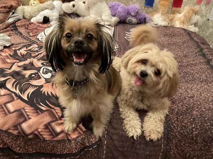 My Beautiful Smiling Babies