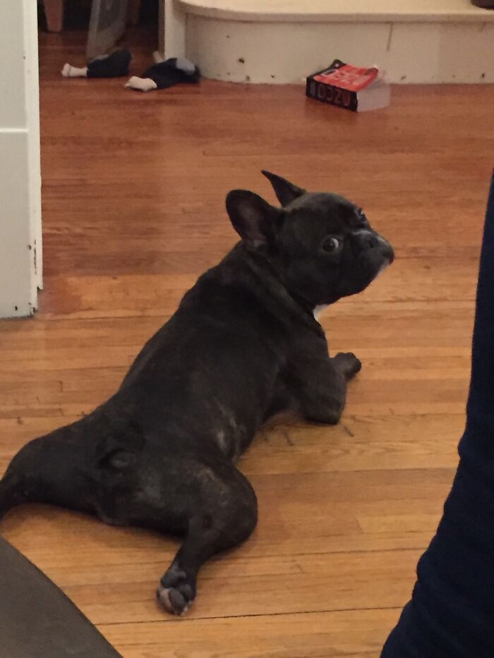 Soaking Up The Floor