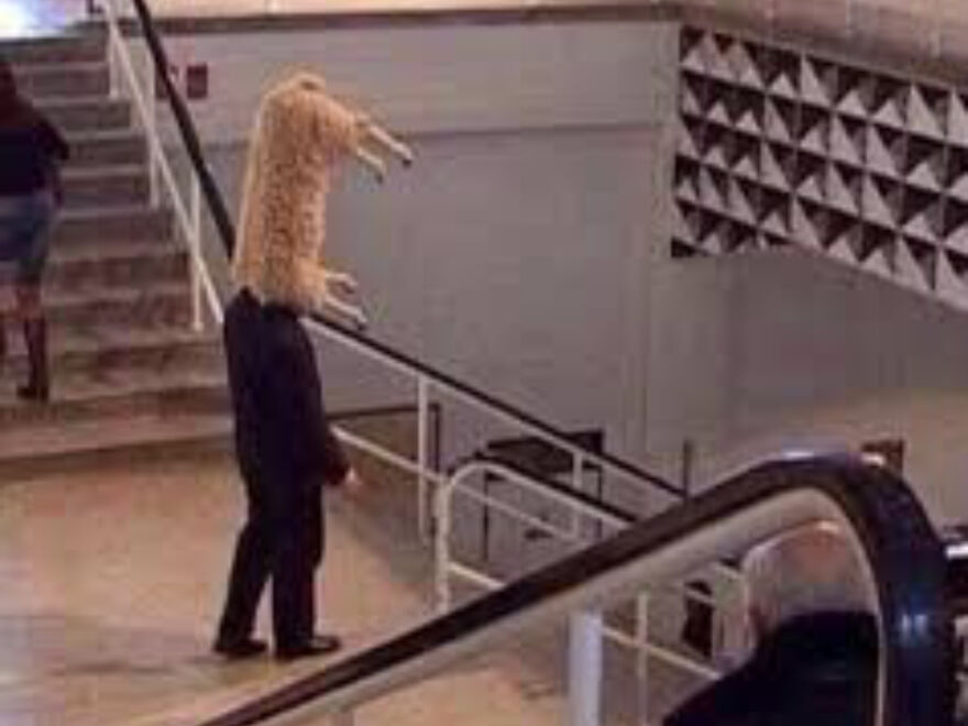 I Found 24 Of The Funniest And Weird Cursed Images