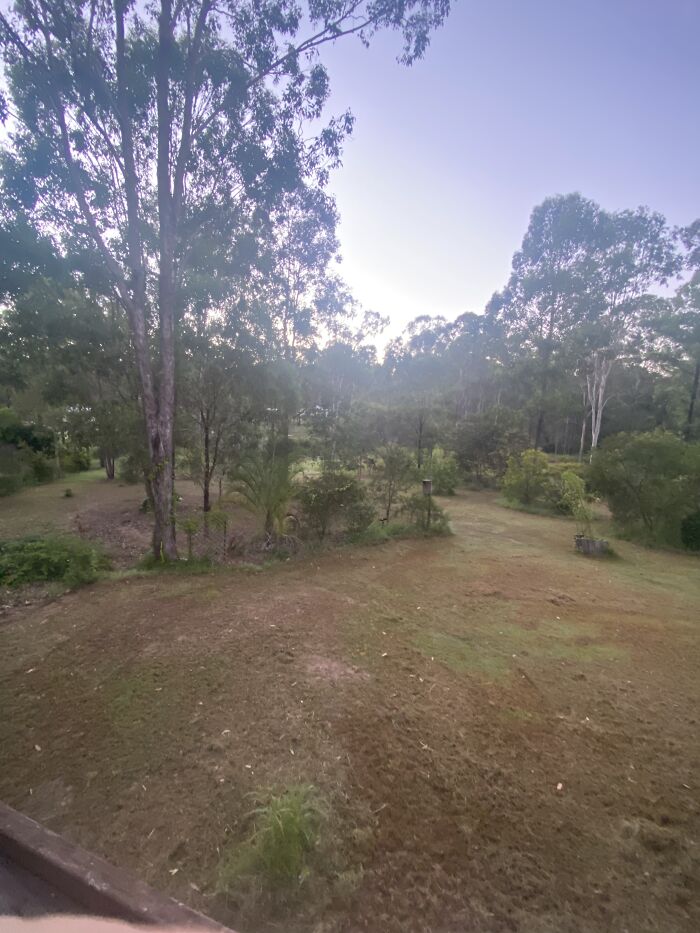 Good Morning Pandas!