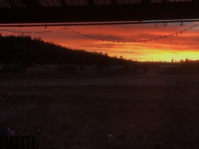 This Is A Really Old Picture I Took :)