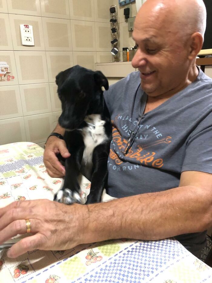 Home Camera Caught This Owner And Dog's Adorable Nighttime Routine, And The Video Of It Went Viral