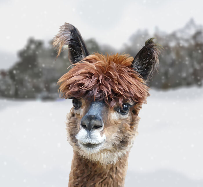 Animals, Wildlife And Nature Illustrations (9 Pics)