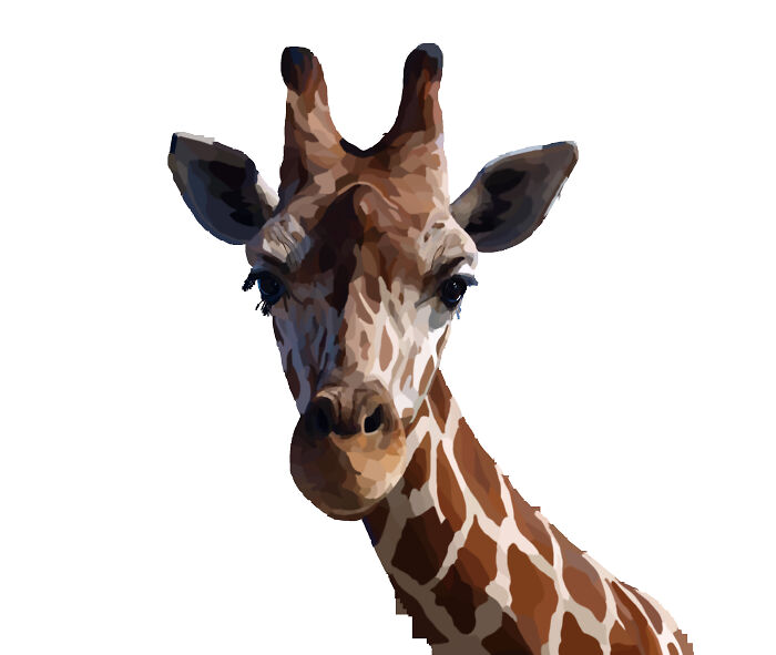 Animals, Wildlife And Nature Illustrations (9 Pics)