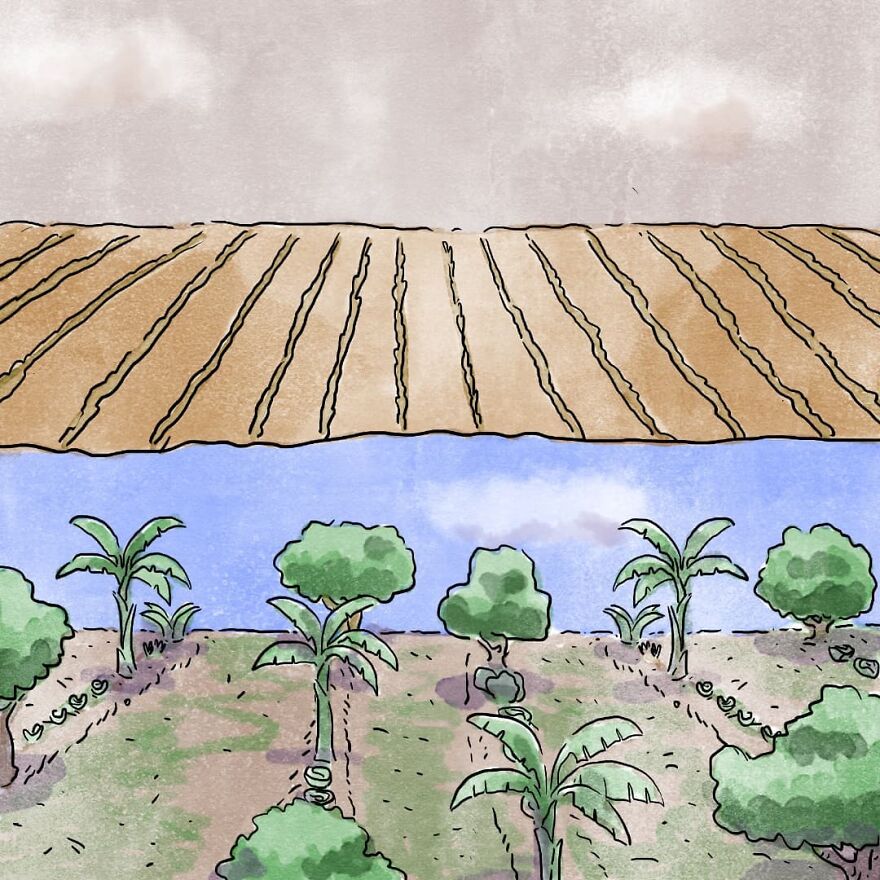 Un artista brasileño crea cómics desgarradores sin usar una sola palabra (7 nuevas historietas)