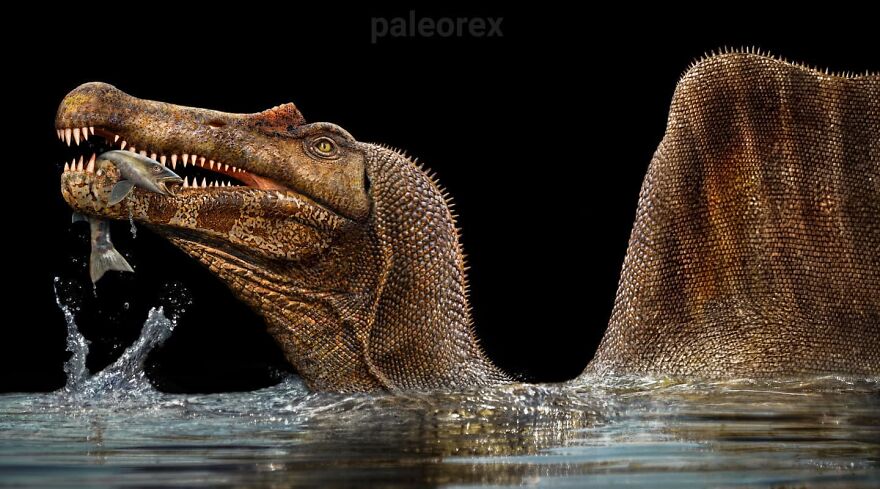 Realistic illustration of an extinct Spinosaurus catching a fish, showcasing how extinct animals might’ve looked in real life.