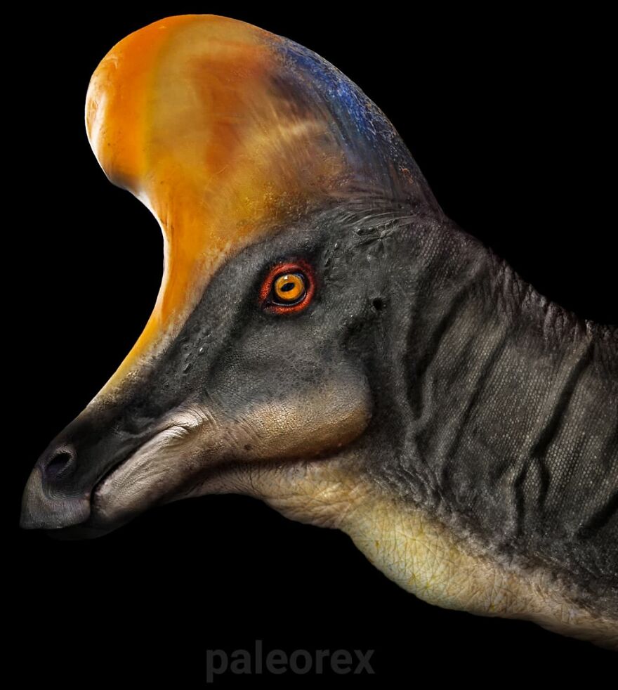 Lambeosaurus