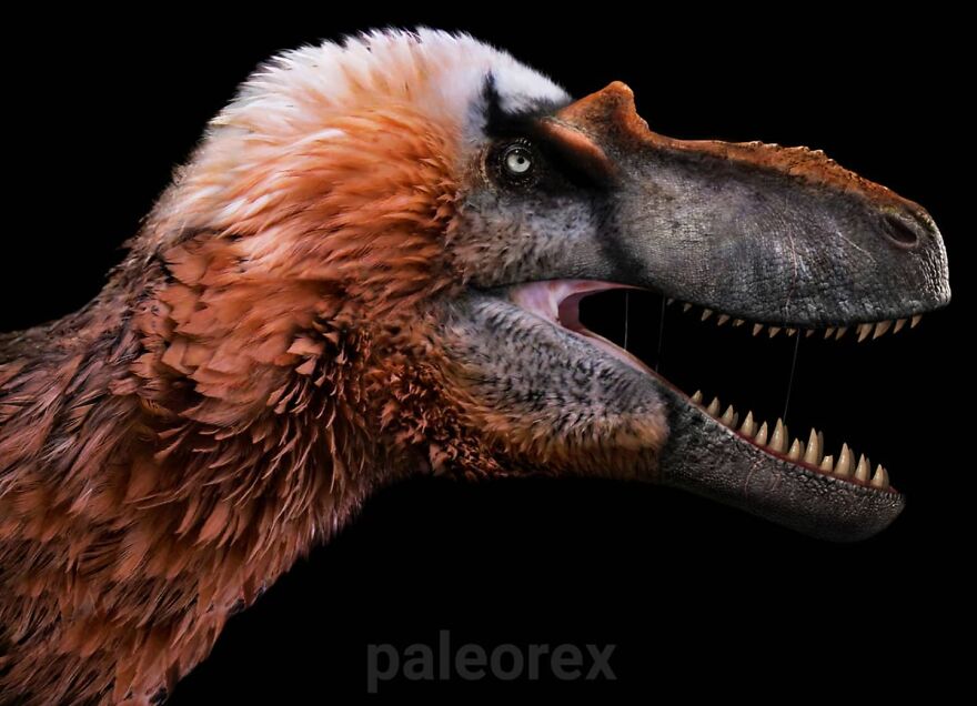 Albertosaurus