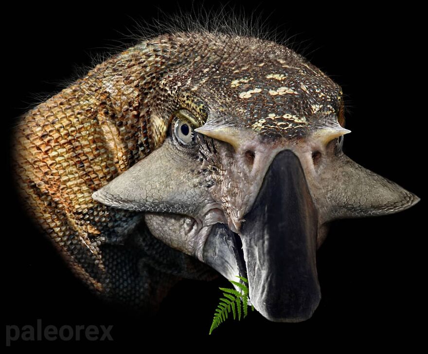 Realistic illustration of an extinct animal with detailed textures showing how extinct animals might have looked in real life.