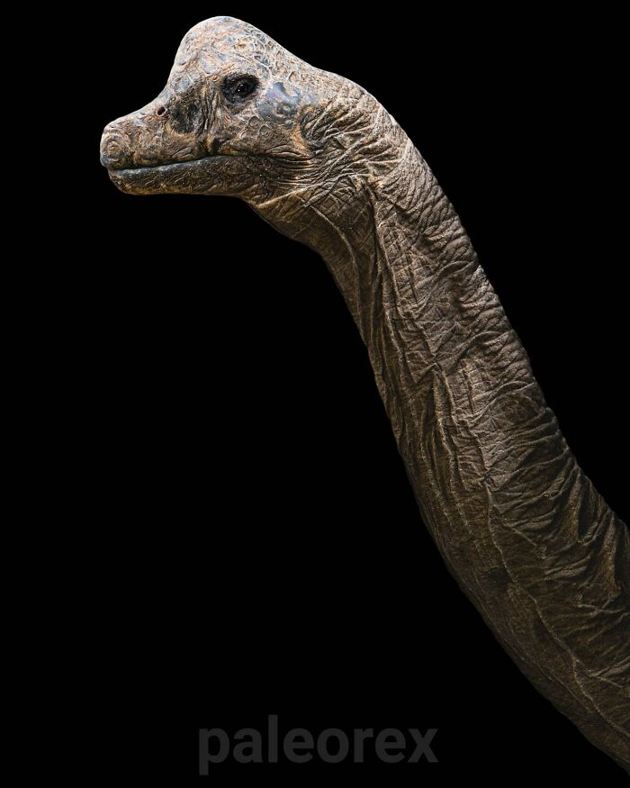Brachiosaurus