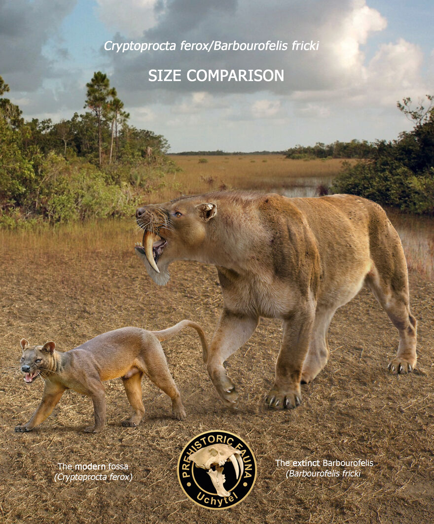 Artist Continues To Make Comparisons Between The Sizes Of Prehistoric Animals And Their Modern Relatives (20 New Pics)