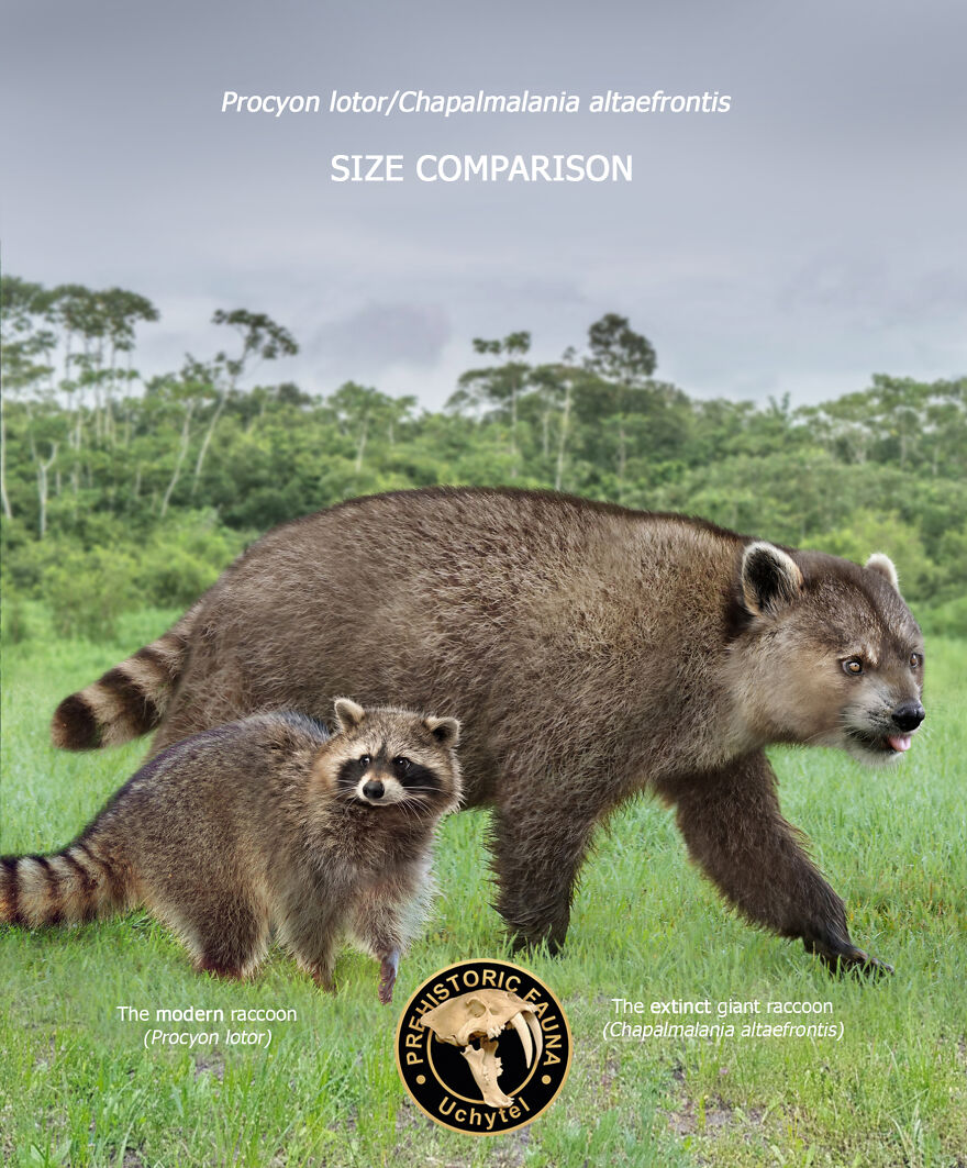 Artist Continues To Make Comparisons Between The Sizes Of Prehistoric Animals And Their Modern Relatives (20 New Pics)