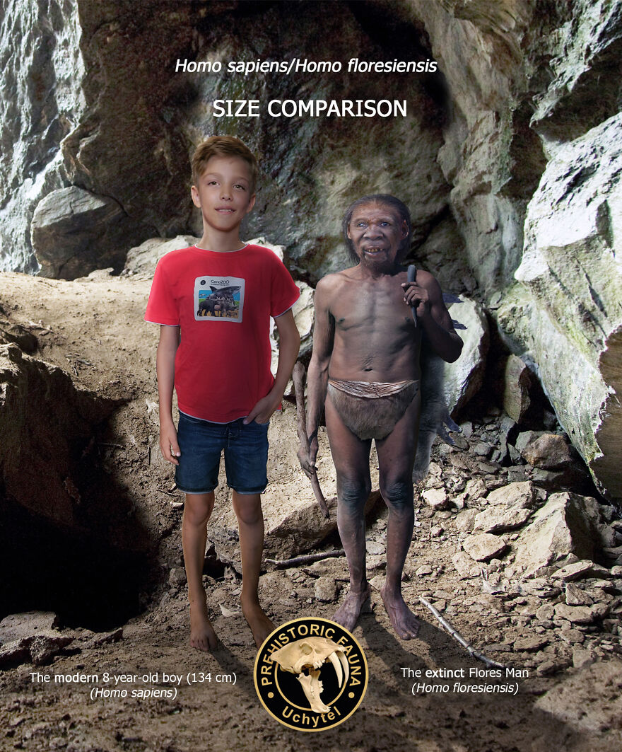 Artist Continues To Make Comparisons Between The Sizes Of Prehistoric Animals And Their Modern Relatives (20 New Pics)