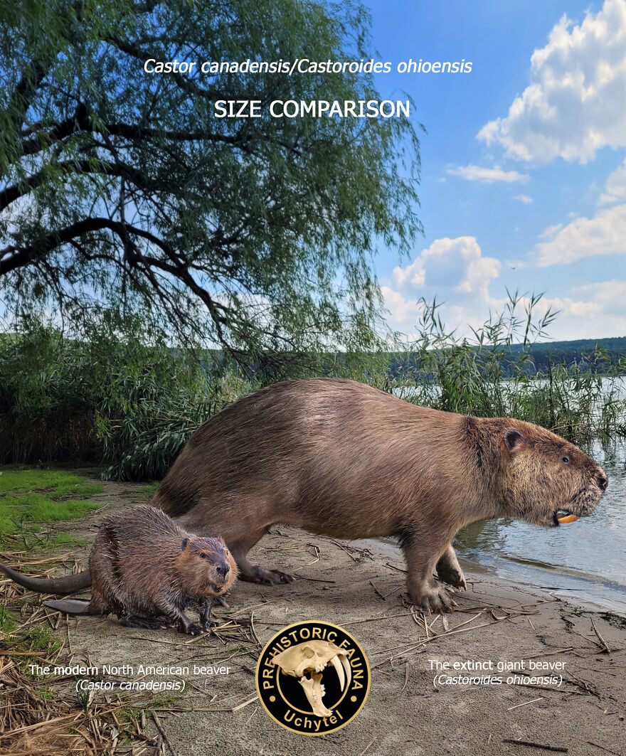 Artist Continues To Make Comparisons Between The Sizes Of Prehistoric Animals And Their Modern Relatives (20 New Pics)