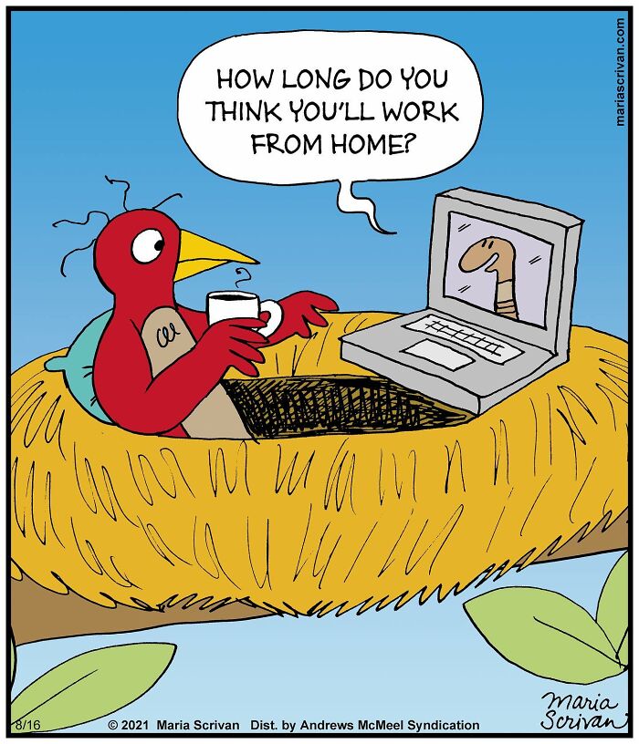 Artist Showcases The Absurdities Of Life In Fun One-Panel Comics (New Pics)