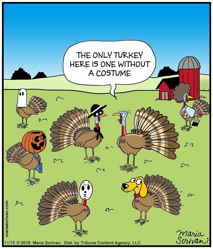 Artist Showcases The Absurdities Of Life In Fun One-Panel Comics (New Pics)