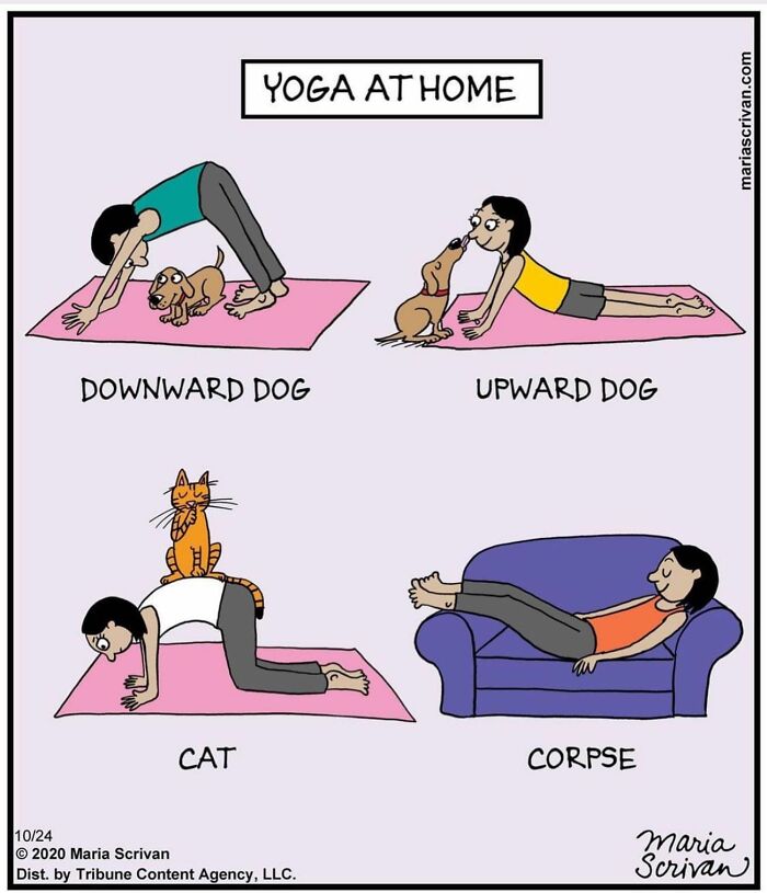 Artist Showcases The Absurdities Of Life In Fun One-Panel Comics (New Pics)