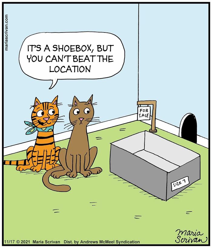 Artist Showcases The Absurdities Of Life In Fun One-Panel Comics (New Pics)