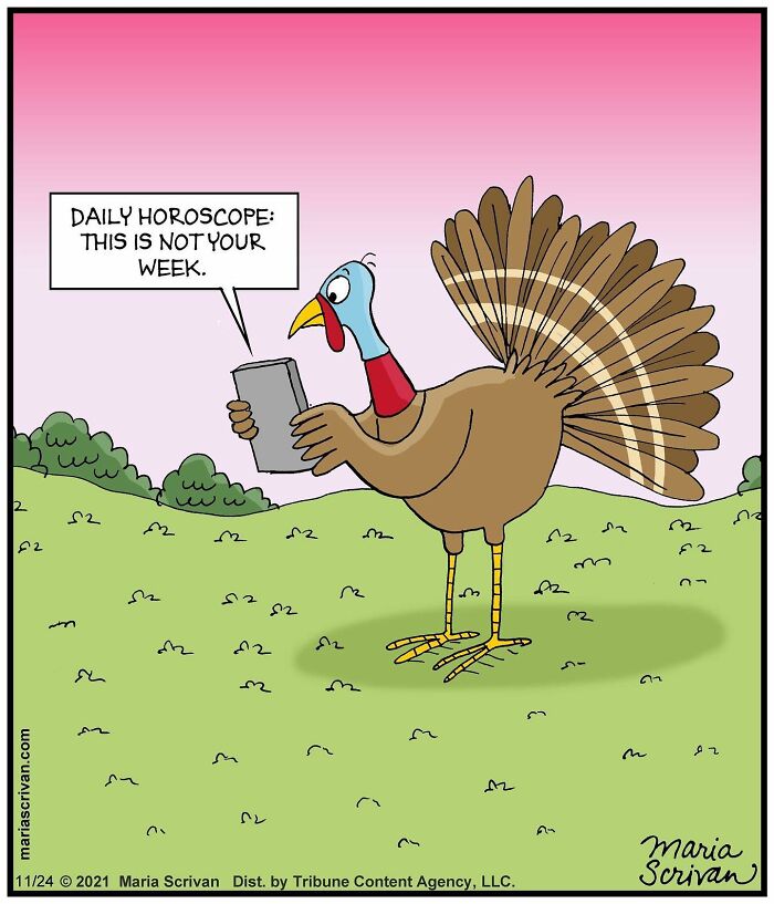 Artist Showcases The Absurdities Of Life In Fun One-Panel Comics (New Pics)