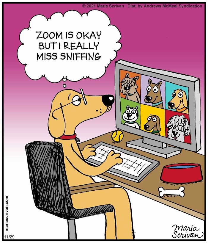 Artist Showcases The Absurdities Of Life In Fun One-Panel Comics (New Pics)