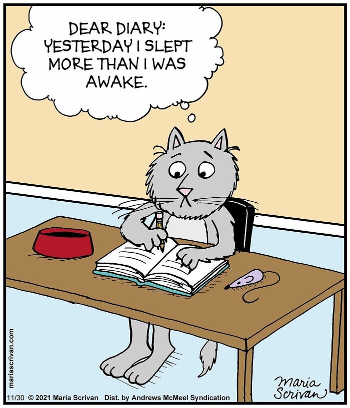 Artist Showcases The Absurdities Of Life In Fun One-Panel Comics (New Pics)