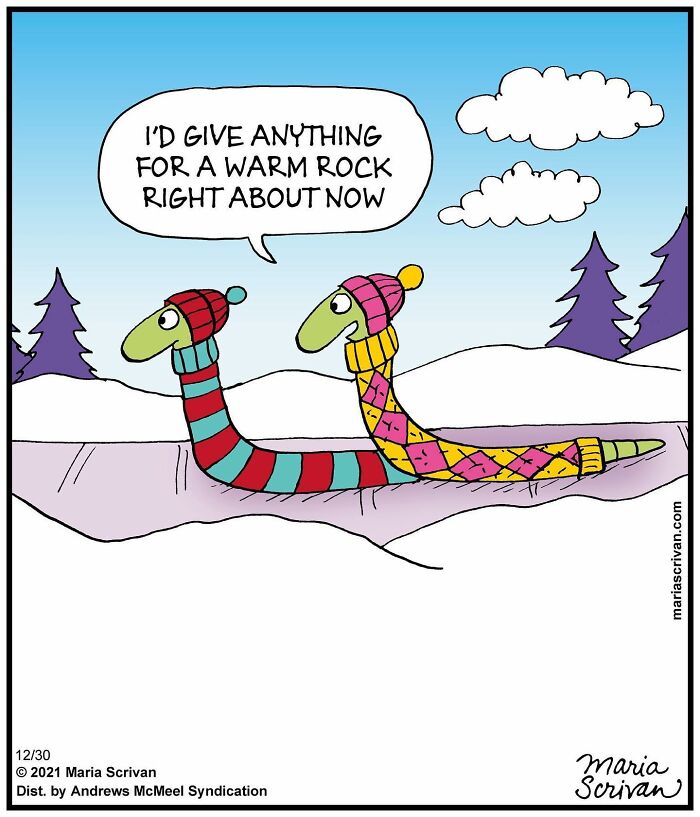 Artist Showcases The Absurdities Of Life In Fun One-Panel Comics (New Pics)